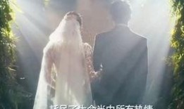 小说视频mv大全,穿越时空的文学盛宴