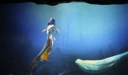 真正的美人鱼视频,揭秘真实美人鱼传奇