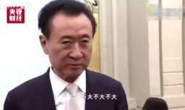 最新王健林访谈视频,商业帝国背后的智慧与挑战