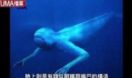 南极人造人视频,科技与伦理的边界探索