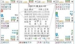 许铨仁紫微斗数视频,揭秘命运奥秘