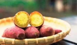 种红薯视频,从播种到收获的实用指南