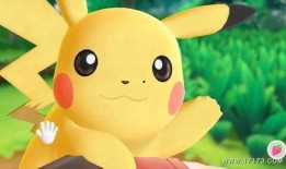 皮卡丘可爱视频,治愈系可爱瞬间大盘点