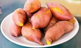 种红薯视频,从播种到收获的实用指南