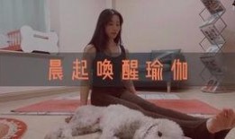 基础绳艺教程视频全集,从入门到精通的绳艺学习指南