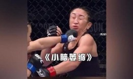 搞笑拳击视频,搞笑拳击视频大盘点