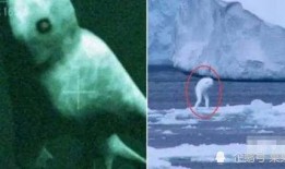 南极人造人视频,科技与伦理的边界探索