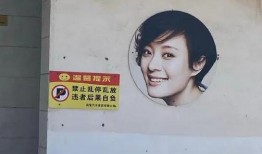 中国熟妇视频,情感与欲望的交织