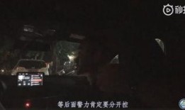 一节片段视频,探寻未知世界的瞬间