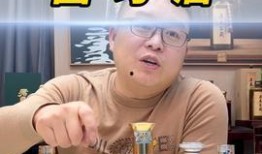 圆哥视频,揭秘生活趣味，畅享欢乐时光