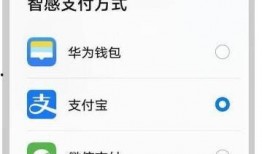 手机微信付款视频,便捷支付背后的操作流程