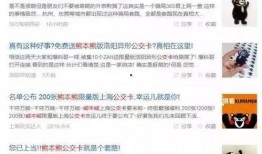 有机z在线观看视频,探索有机生活新视角