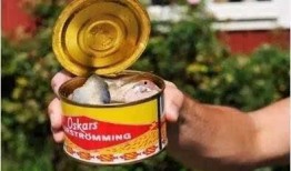 鲱鱼罐头视频,史上最臭美食的神秘面纱