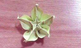 杨桃花折法视频大全,一网打尽经典花艺教程