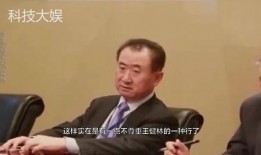 最新王健林访谈视频,商业帝国背后的智慧与挑战