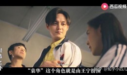 夏洛特烦恼视频,一场关于梦想与现实的奇幻之旅