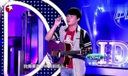 流浪歌手视频播放,流浪歌手的动人故事