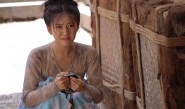 伤心小视频,伤心小视频背后的感人故事