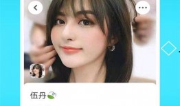 好XXOO视频免费永久,揭秘好XXOO视频免费永久背后的秘密