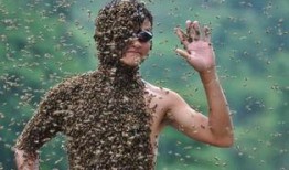 捉蜂衣服视频大全,全方位捉蜂衣服视频大盘点