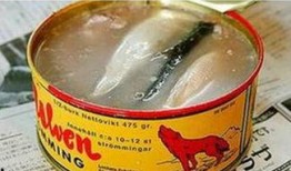 鲱鱼罐头视频,史上最臭美食的神秘面纱