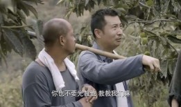 百姓视频伦理片,探讨社会道德与伦理边界