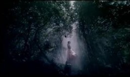 感恩励志视频,视频中的力量与启示