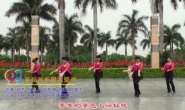 新疆双人舞蹈视频大全,新疆双人舞蹈风采集锦