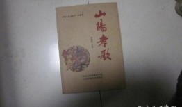 山阳孝歌视频大全,视频大全中的文化瑰宝