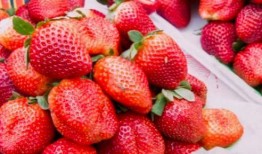 草莓种子怎么取视频,轻松掌握种植技巧