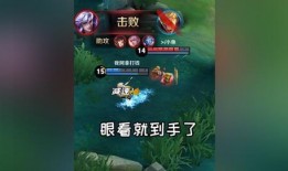 呆阿拿视频门,揭秘背后真相与影响