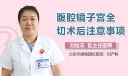 腹腔镜子宫全切术视频,腹腔镜子宫全切术操作步骤与技巧解析