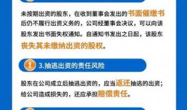 公司法视频,企业治理与法律框架全览