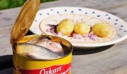 鲱鱼罐头视频,史上最臭美食的神秘面纱