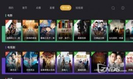 网络电视频道源失效,探寻替代方案与行业应对策略