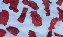 草莓种子怎么取视频,轻松掌握种植技巧