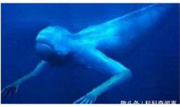 南极人造人视频,科技与伦理的边界探索